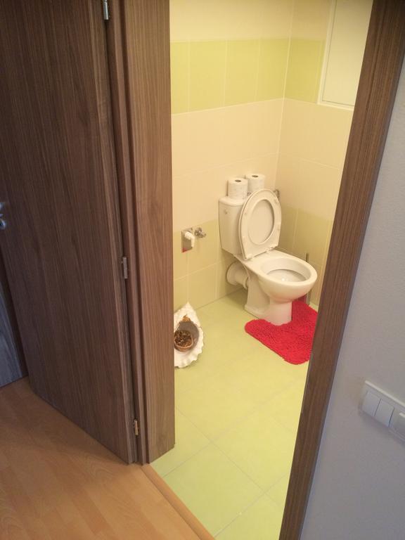 Apartment Fiala Olomouc Habitación foto